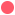 IconCoral-01-min